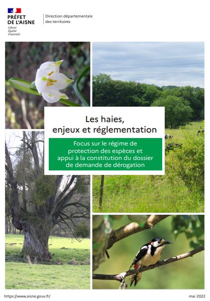 Les haies, enjeux et réglementation – Focus sur le régime de protection des espèces et appui à la constitution du dossier de demande de dérogation