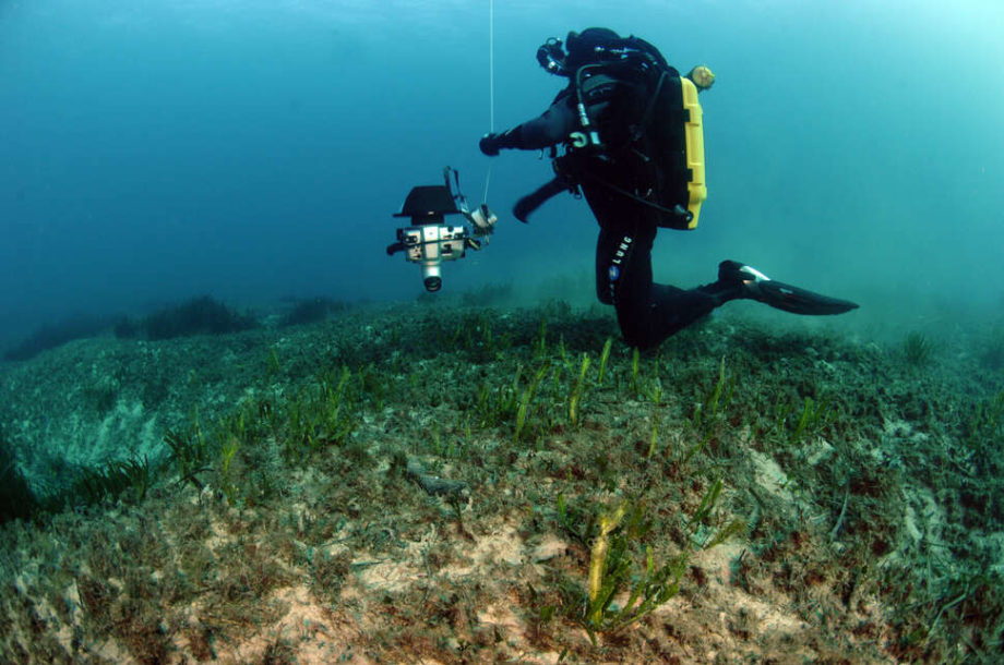 [Appel à manifestations d’intérêt] Développements technologiques pour le suivi des habitats marins benthiques