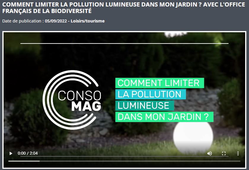 Comment limiter la pollution lumineuse dans mon jardin ? avec l’Office français de la biodiversité