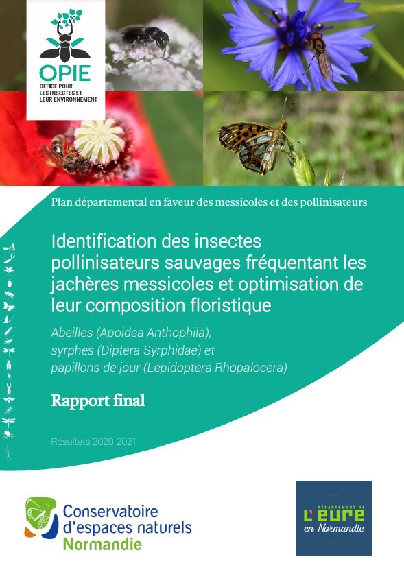 Relations entre plantes messicoles et insectes pollinisateurs