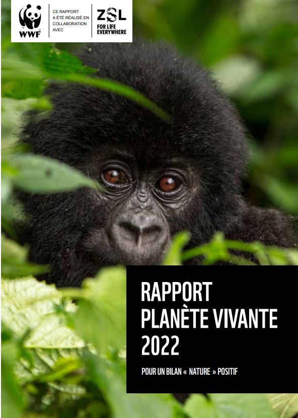 Le rapport Planète Vivante du WWF révèle une baisse dévastatrice de 69% des populations d’animaux sauvages vertébrés en moins de cinquante ans