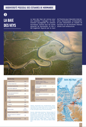 Biodiversité piscicole des estuaires de Normandie – Baie des Veys