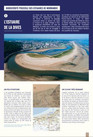 Biodiversité piscicole des estuaires de Normandie – Estuaire de la Dives