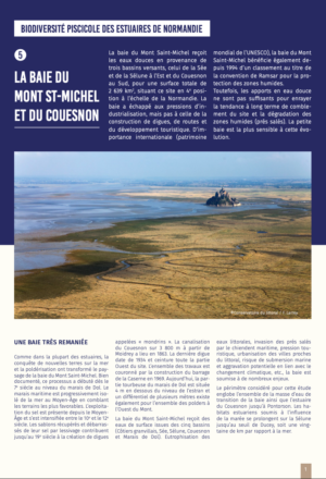 Biodiversité piscicole des estuaires de Normandie – La baie du Mont St-Michel et du Couesnon