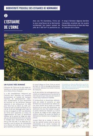 Biodiversité piscicole des estuaires de Normandie – Estuaire de l’Orne