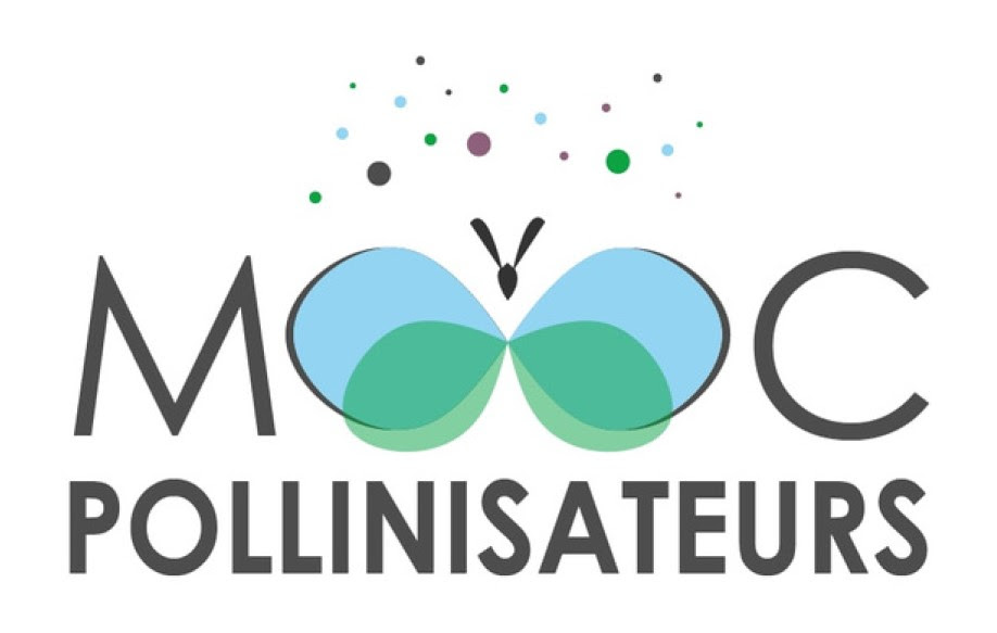 [Mooc] Bienvenue dans le monde des pollinisateurs !