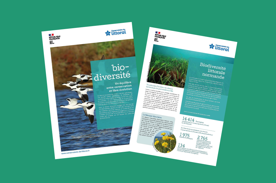 [Publication] Deux nouvelles sorties sur la biodiversité par le Conservatoire du littoral