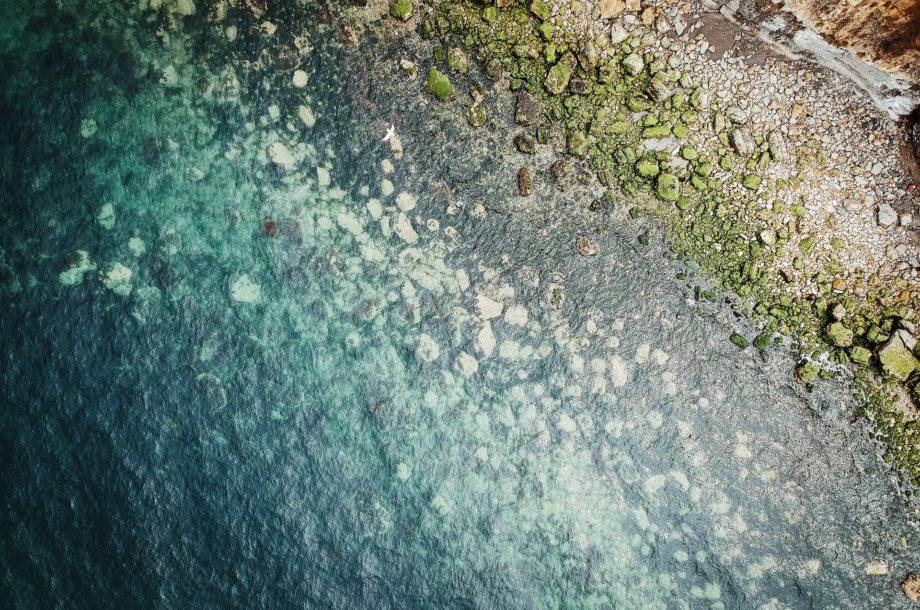 [Journée d’échanges] Apport des biomarqueurs pour la surveillance des masses d’eau côtières, de transition et continentales