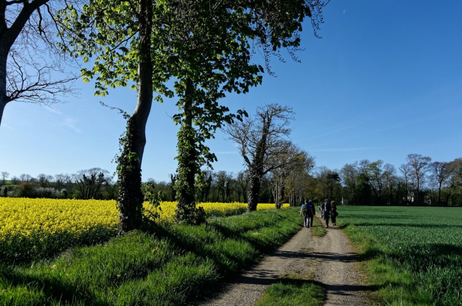 [Webinaire] Le barème de l’arbre VIE/BED : Mise en oeuvre, actualités, perspectives