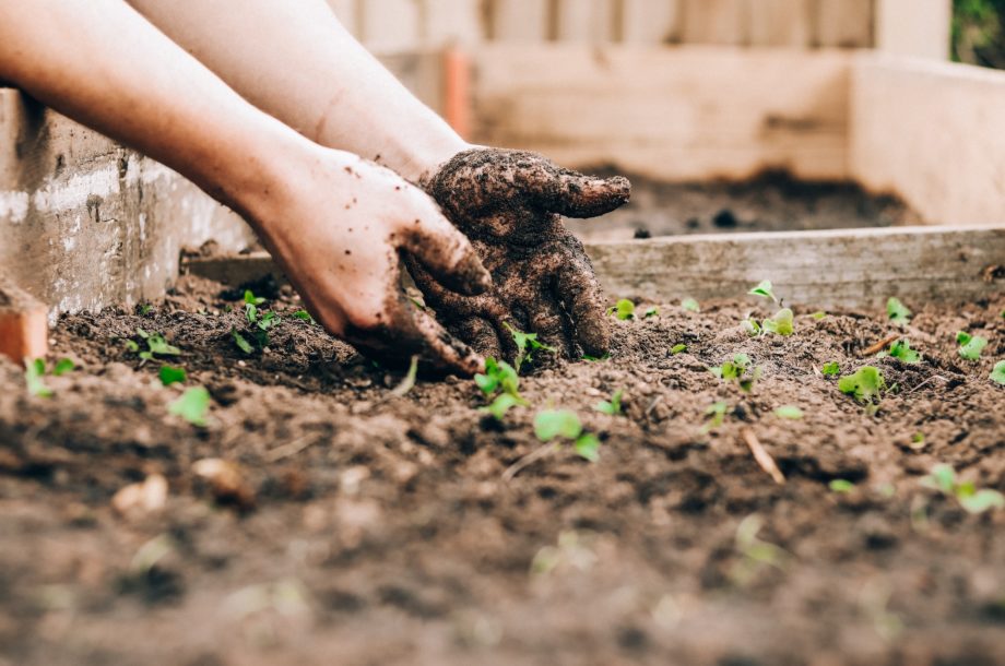 [Formation] Formation sur la gestion des déchets de plantes exotiques envahissantes