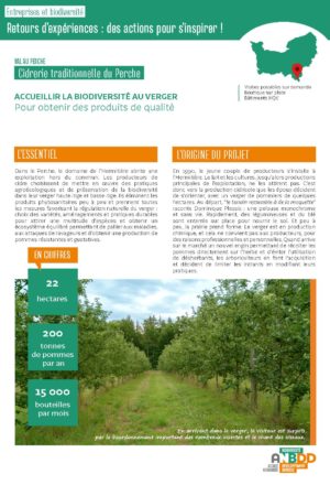 [Retours d’expériences] Accueillir la biodiversité au verger pour obtenir des produits de qualité