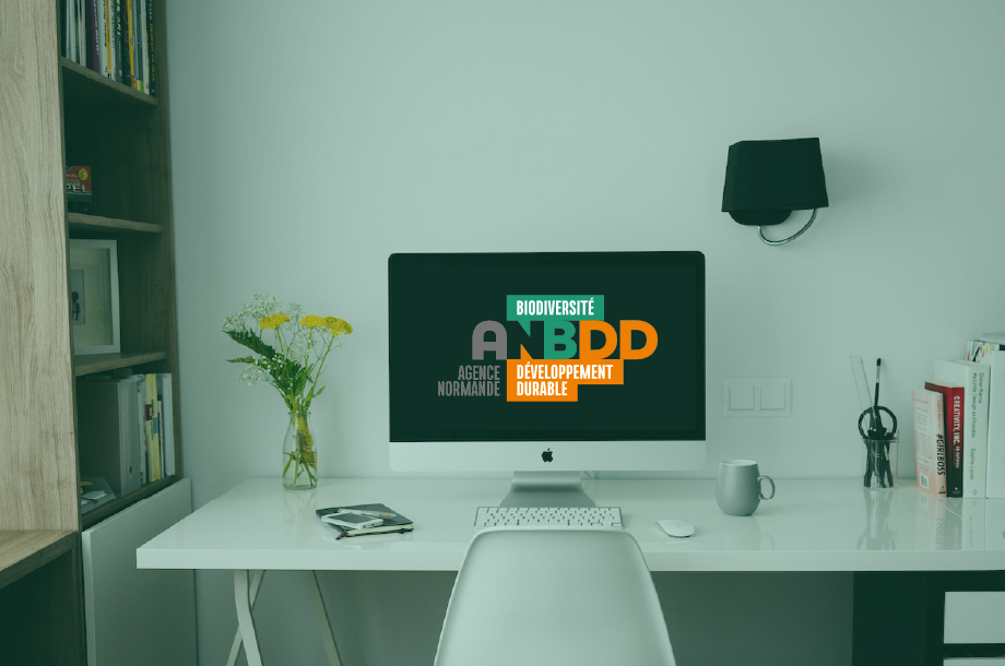 [Vie du GIP] Trois offres de stages à l’ANBDD en 2025