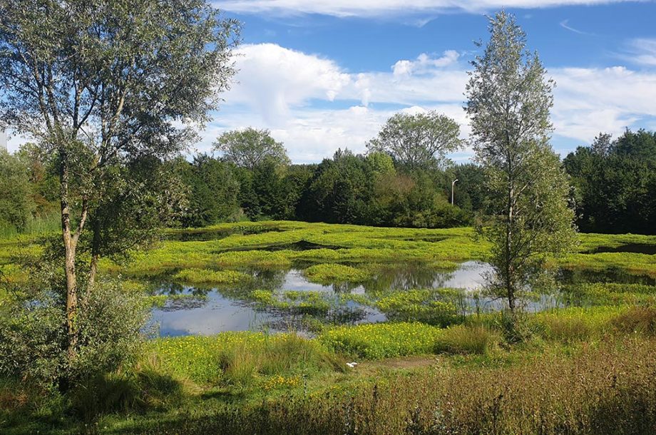 [Appel à manifestations d’intérêt] Évaluation de l’efficacité des mesures de gestion Natura 2000 Période 2023-2027 – 5e AMI