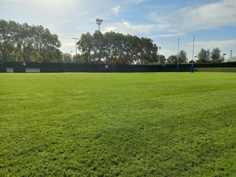 [Journée d’échanges] Zéro pesticide dans les terrains de sport : vers une approche écologique globale