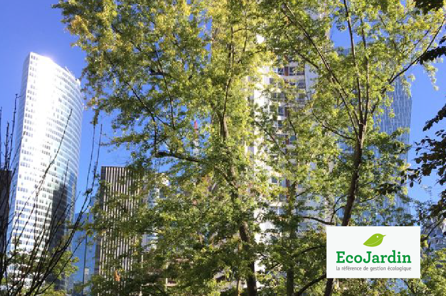 [Rencontre] Rencontre EcoJardin 2023
