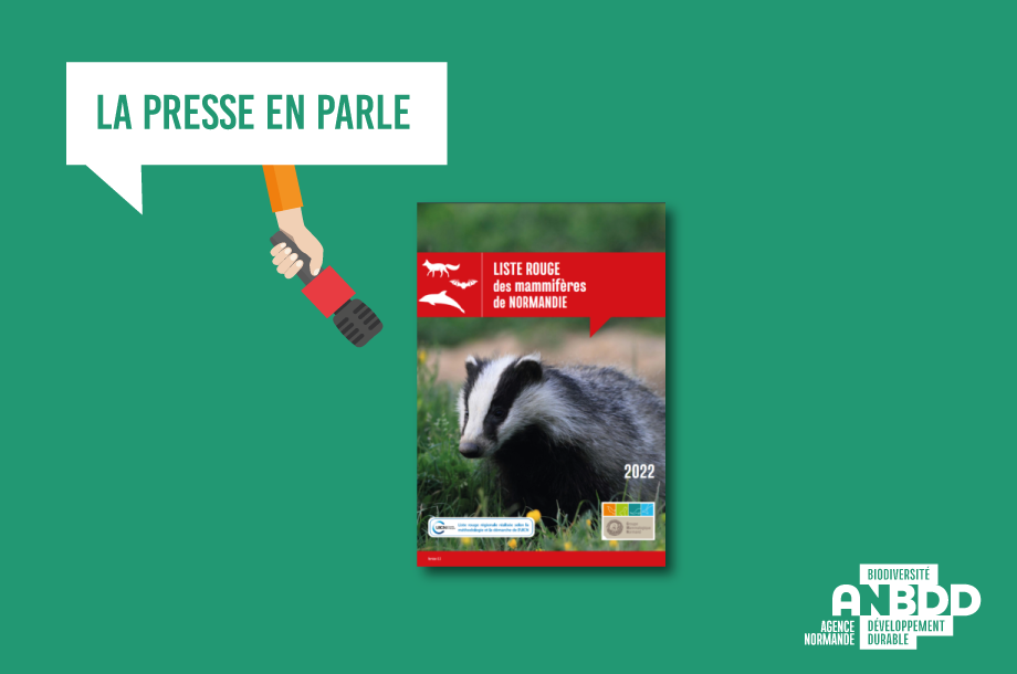 Liste rouge mammifères : la presse normande en parle