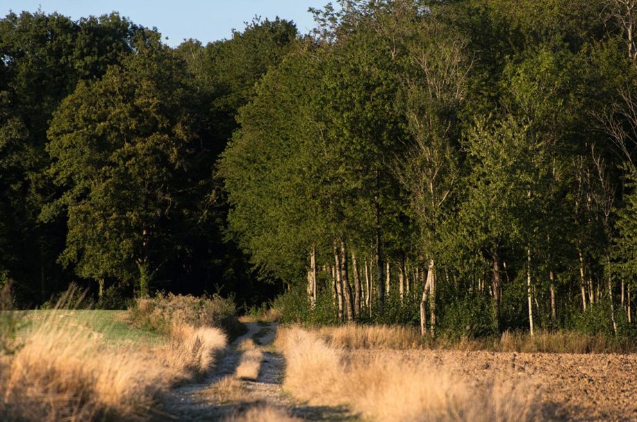 [Appel à projets] ABC Atlas de la biodiversité communale 2023