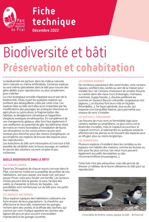 Biodiversité et bâti : préservation et cohabitation