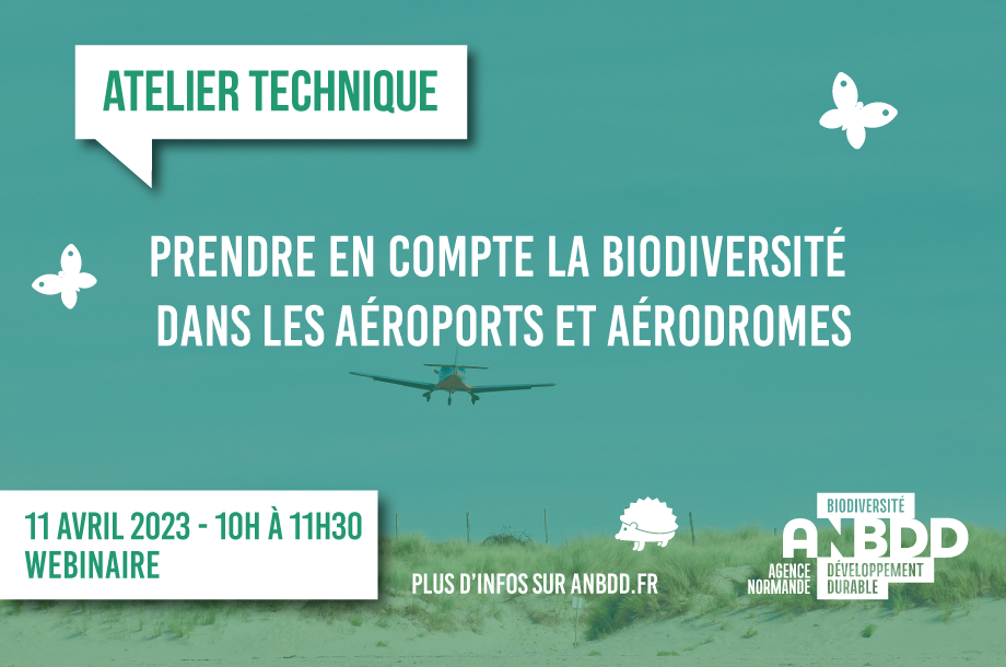 [Webinaire] Prendre en compte la biodiversité dans les aéroports et aérodromes