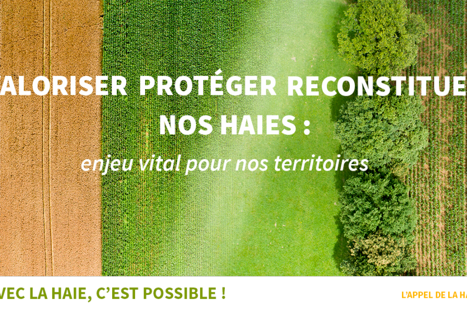 [Mobilisation] L’appel de la haie par l’Afac-Agroforesteries