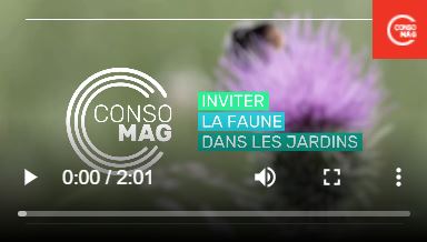 Jardiner tout en respectant la biodiversité : mode d’emploi, avec l’OFB