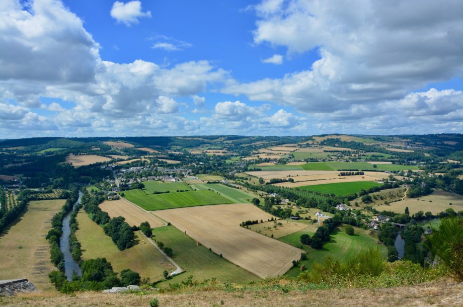 [Appel à projets] Pacte en faveur de la haie 2025 – Gestion durable et structuration de filières de valorisation durable de la haie et arbres intraparcellaires