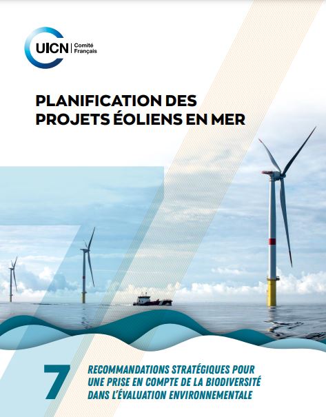 Eolien en mer : le Comité français de l’UICN demande une meilleure planification écologique pour protéger la biodiversité