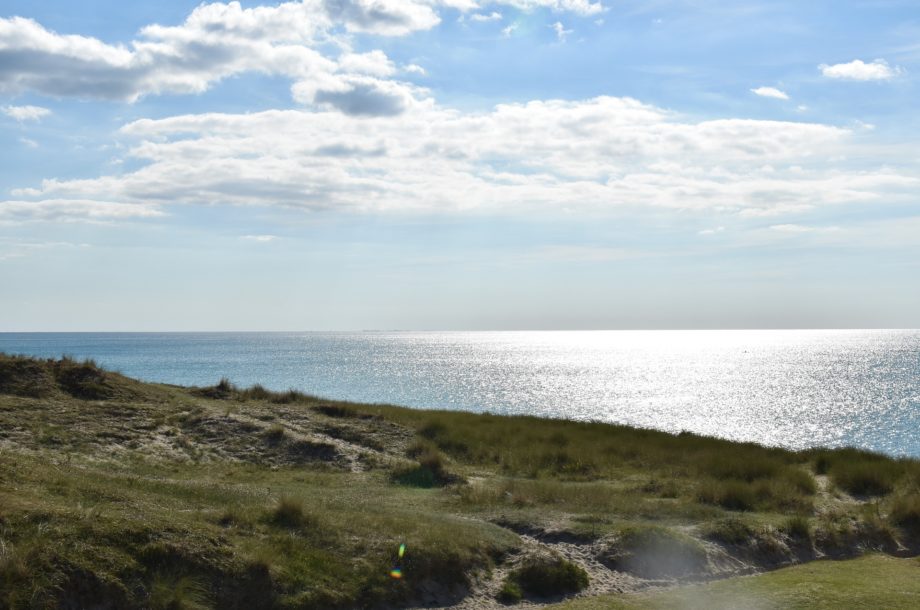 [Aides financières] Littoraux normands 2027 : restaurons les espaces naturels du littoral !