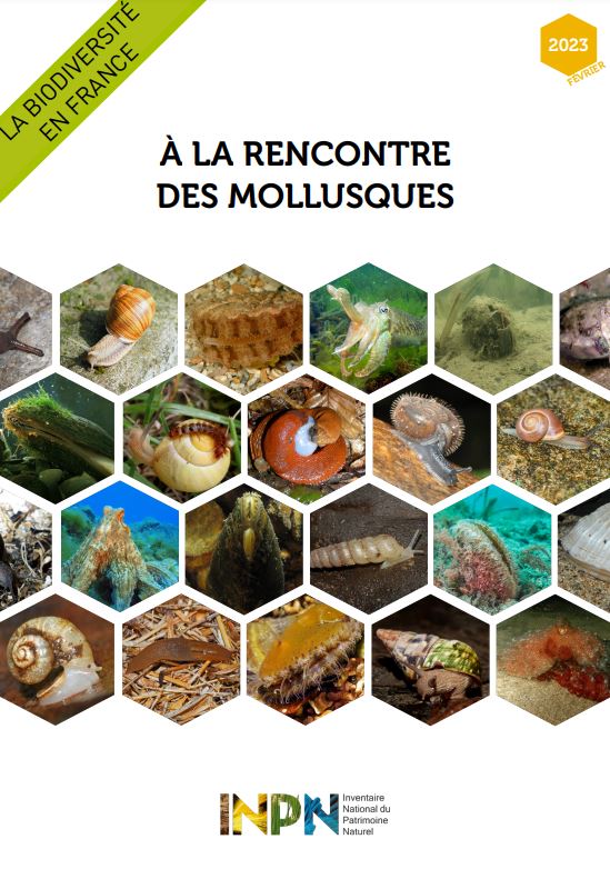 La biodiversité en France – À la rencontre des mollusques