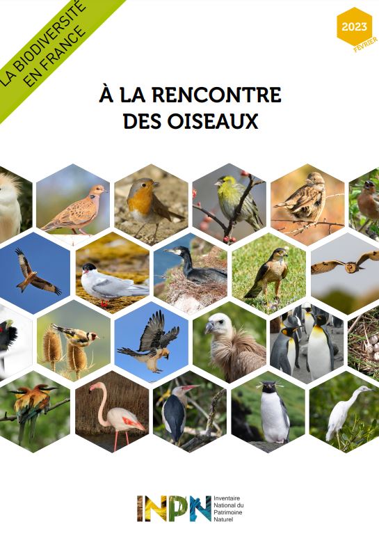 La biodiversité en France – À la rencontre des Oiseaux