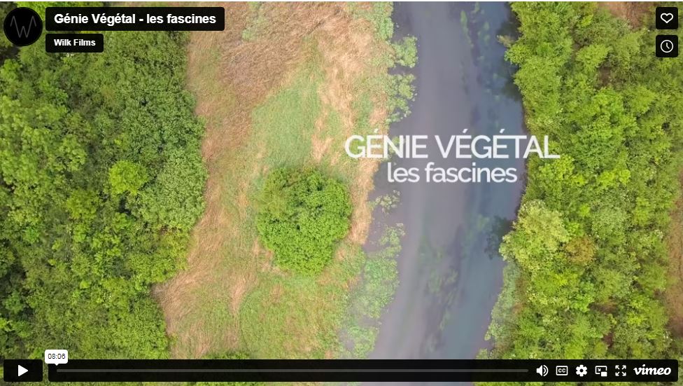 Les fascines de ligneux : génie végétal