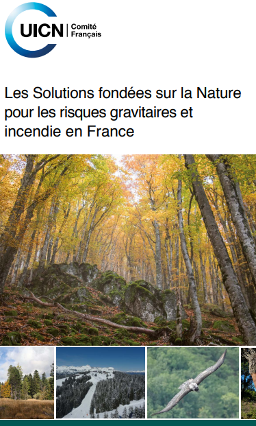 Les Solutions fondées sur la Nature en forêt sont nos alliées pour réduire les risques naturels et préserver la biodiversité : Les SfN pour les risques gravitaires et incendie en France
