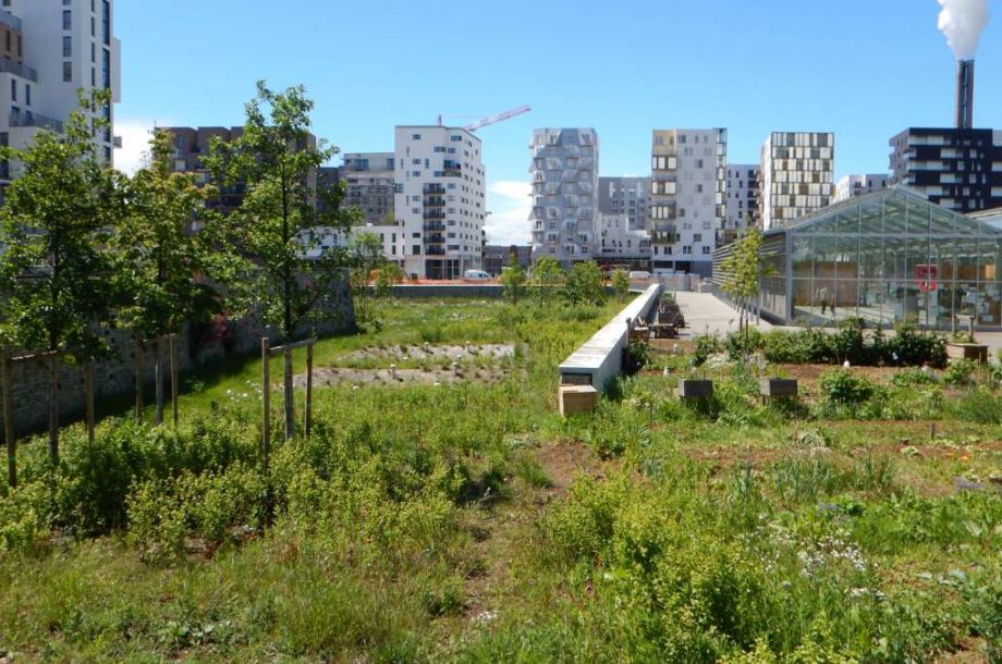 [Atelier + Visite] LaboVivant Solutions Fondées sur la Nature Cerema Ile-de-France