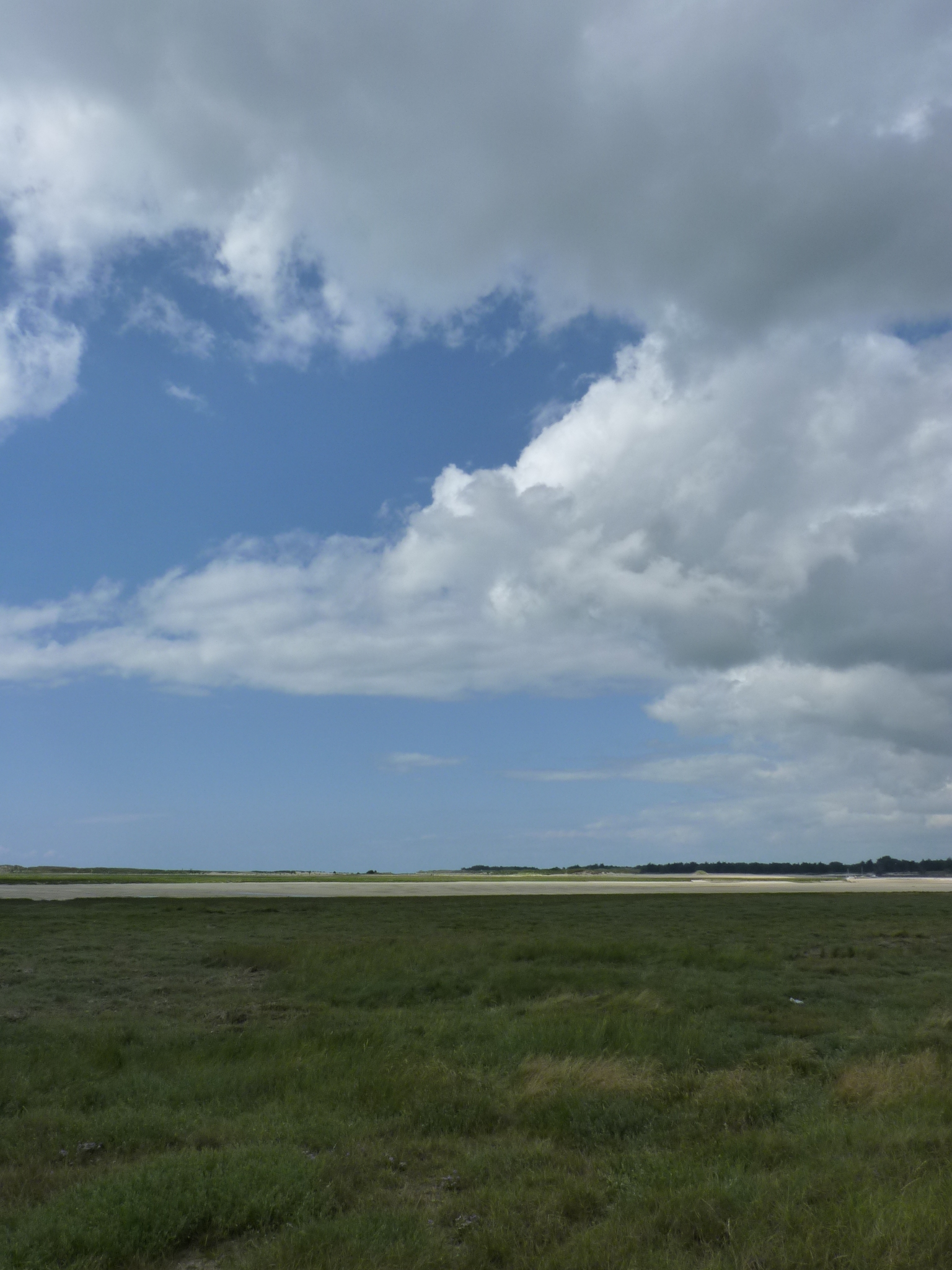 Impacts du changement climatique sur les écosystèmes et les services écosystémiques en France et recommandations pour l’adaptation de la biodiversité