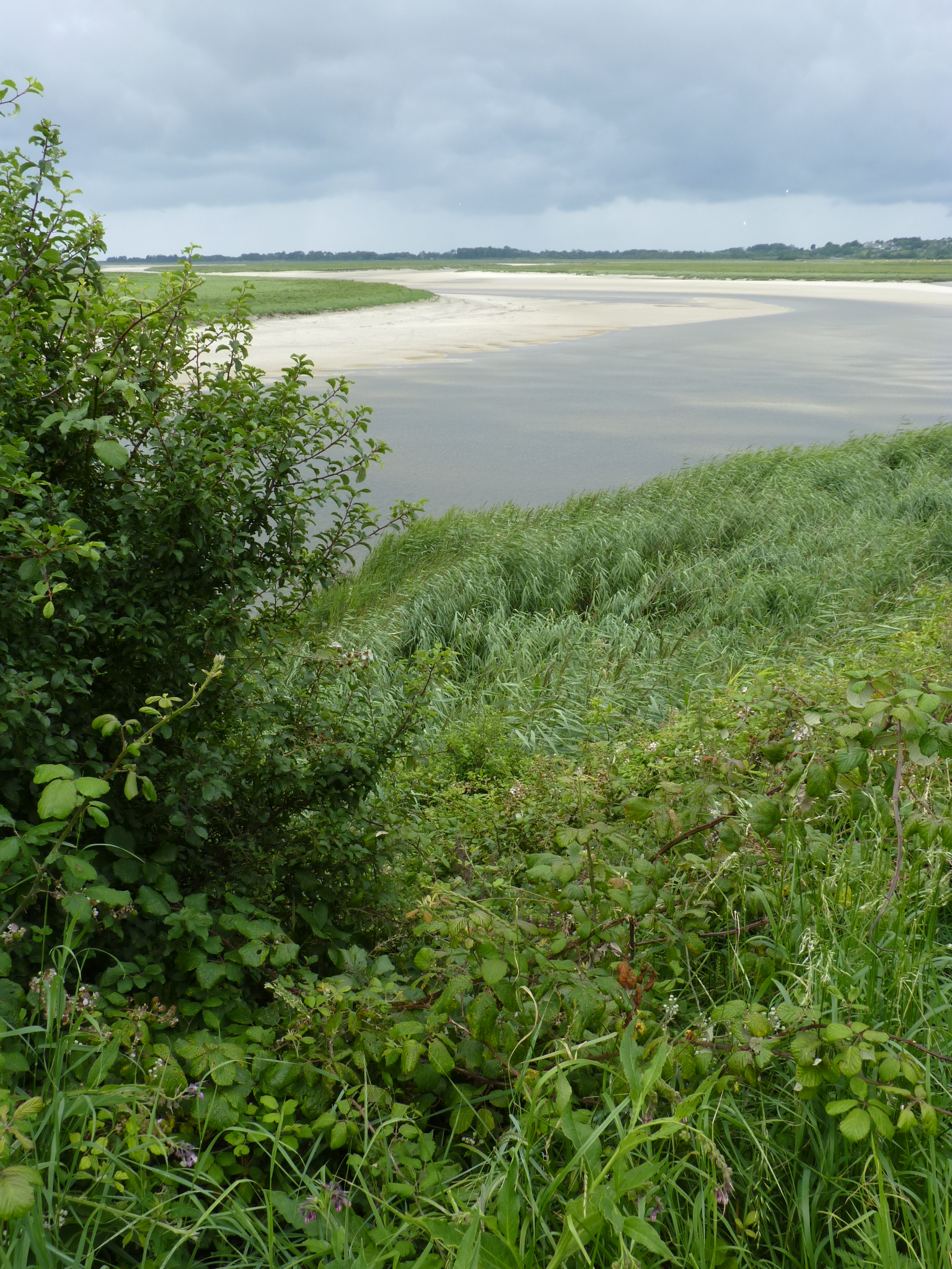 Le projet de recherche LIFE adapto+ : expérimenter et construire une méthode pour la gestion du littoral par les méthodes souples