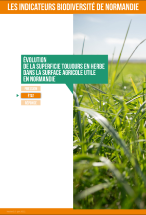 Évolution de la Surface Toujours en Herbe (STH) dans la Surface Agricole Utile (SAU) en Normandie