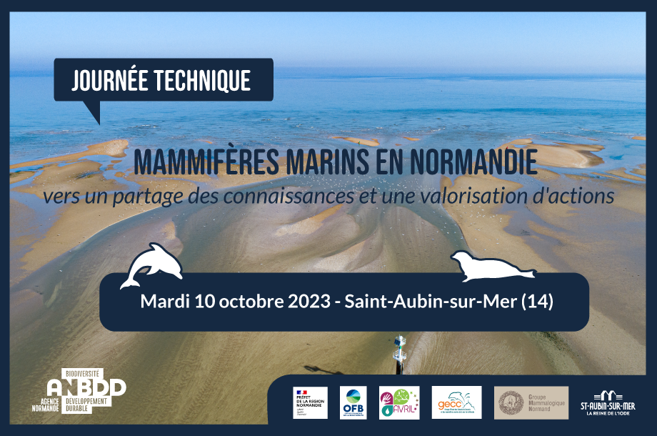 [Journée Technique] Mammifères marins en Normandie : vers un partage des connaissances et une valorisation d’actions