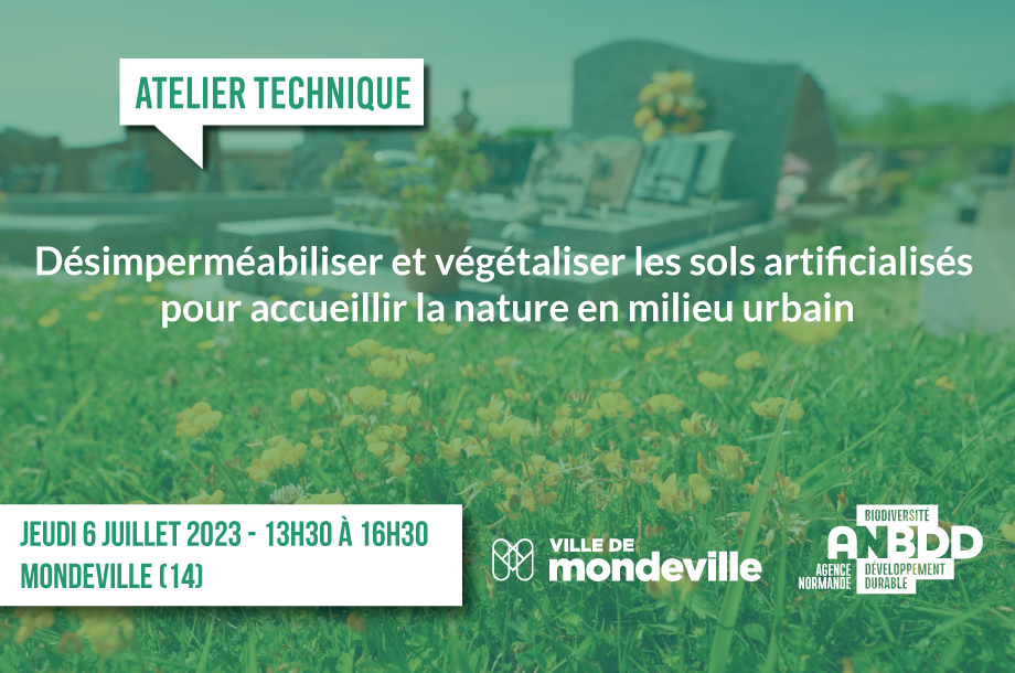 [Retour sur l’atelier technique] Désimperméabiliser et végétaliser les sols artificialisés pour accueillir la nature en milieu urbain