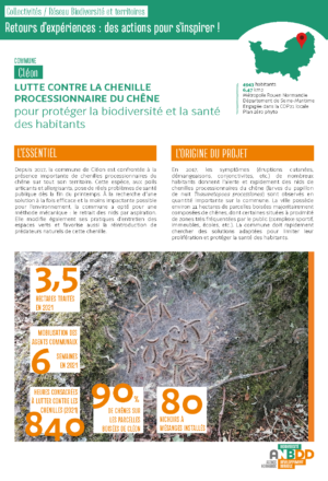 [Retours d’expériences] Lutter contre la chenille processionnaire du chêne pour protéger la biodiversité et la santé des habitants