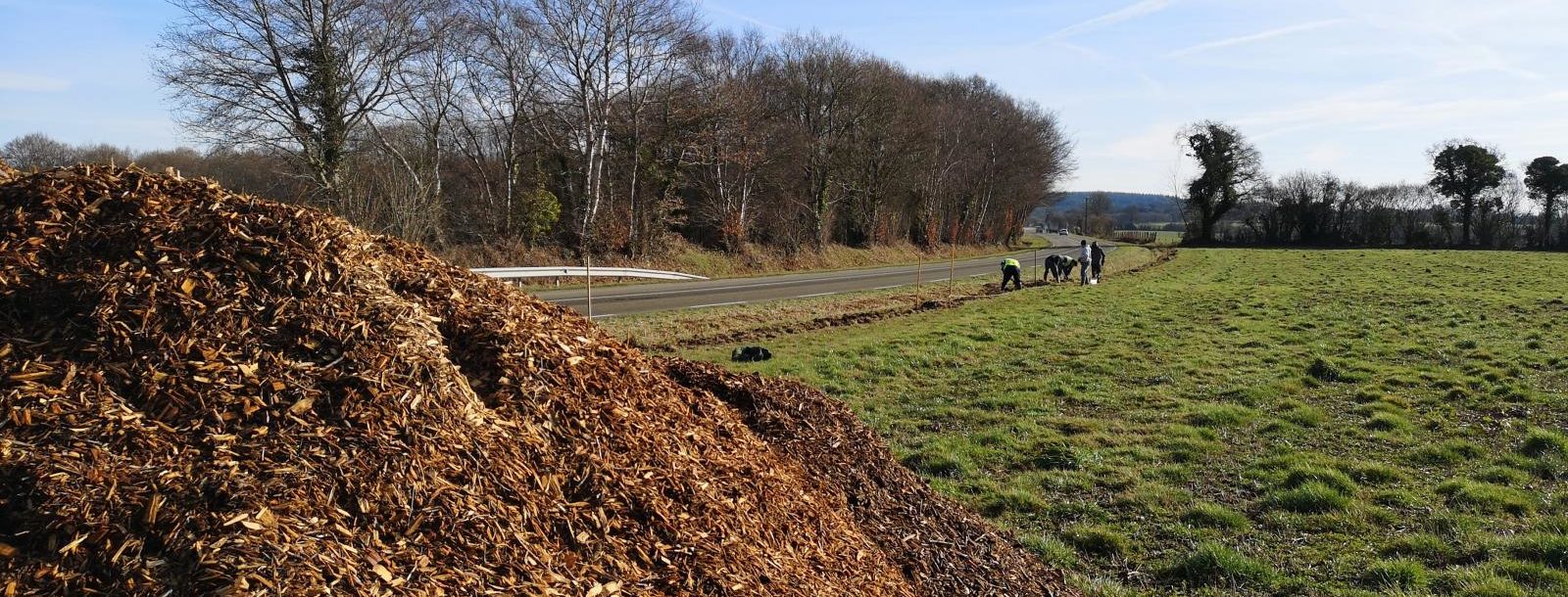 Le programme bocage du Parc Naturel Régional Normandie Maine