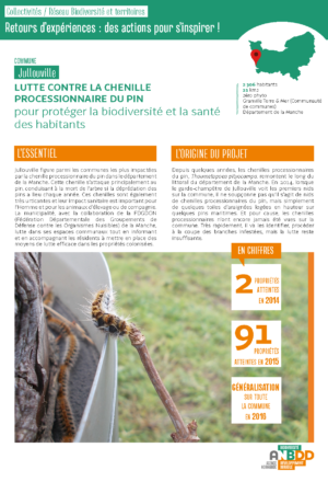 [Retours d’expériences] Lutter contre la chenille processionnaire du pin pour protéger la biodiversité et la santé des habitants