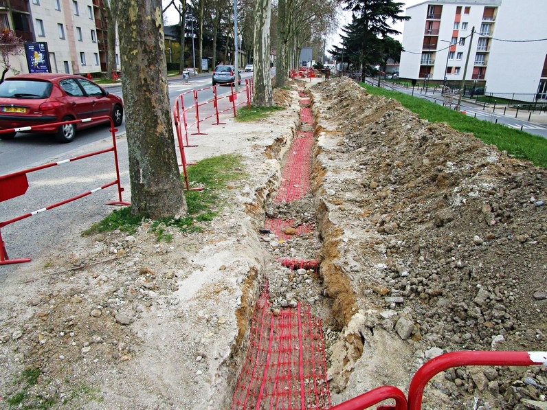 [Rencontres] Protéger les arbres sur l’espace public et privé : législation et réglementation – 37e Arborencontre