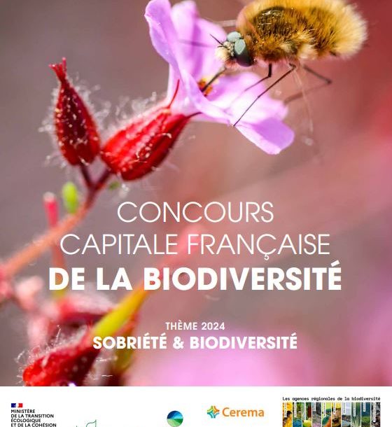 [Webinaire] Gestion sobre des écosystèmes urbains – Cycle Sobriété et biodiversité #4