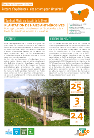 [Retours d’expériences] Plantation de haies anti-érosives : pour agir contre le ruissellement et l’érosion des sols à l’aide des solutions fondées sur la nature