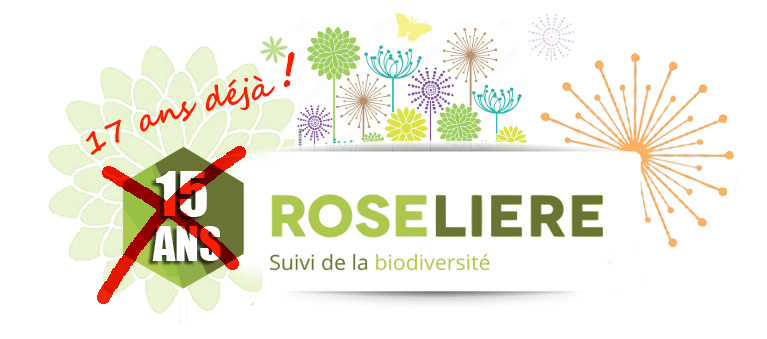 [Visite de site] Visites de sites dans le cadre de la célébration des 17 ans du programme ROSELIERE : la carrière alluvionnaire de Bouafles (27)
