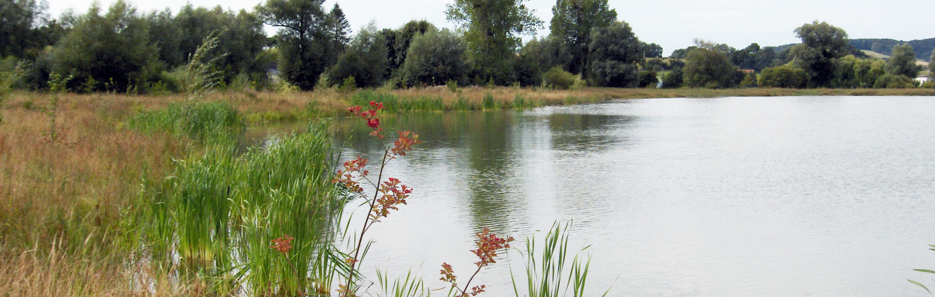 Les filières et parcs d’activités s’engagent