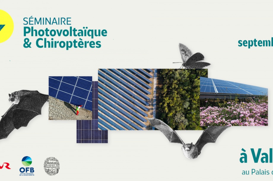 [Séminaire] Photovoltaïque et Chiroptères