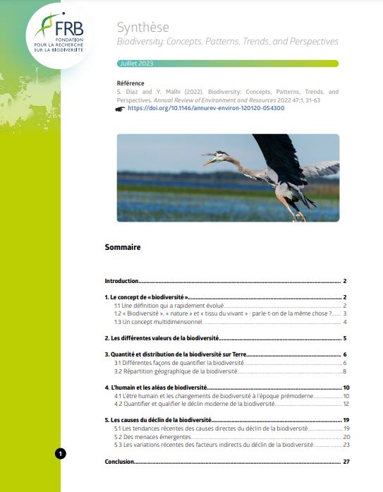 La biodiversité : concepts, tendances, menaces et perspectives (synthèse)