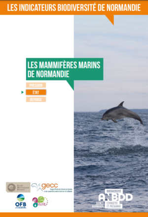 Les mammifères marins de Normandie
