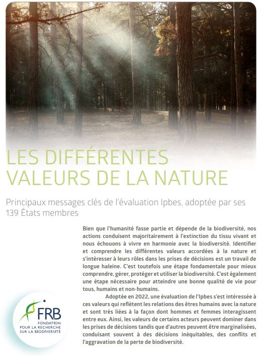 Les différentes valeurs de la nature. Principaux messages clés de l’évaluation Ipbes, adoptée par ses 139 États membres
